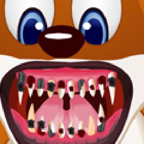 Animal Dentist