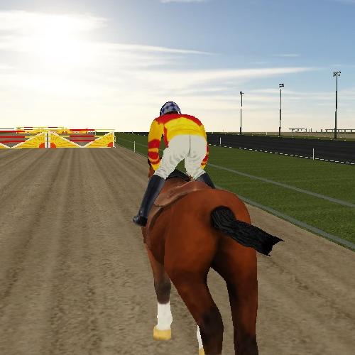 Horse Ride Racing