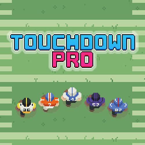 Touchdown Pro