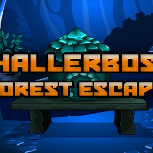 Hallerbos Forest Escape