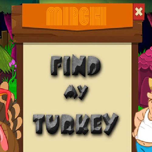 Find My Turkey