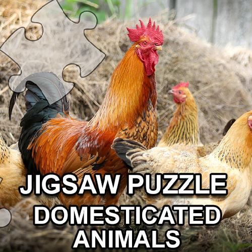 Jigsaw Puzzle Domesticated Animals