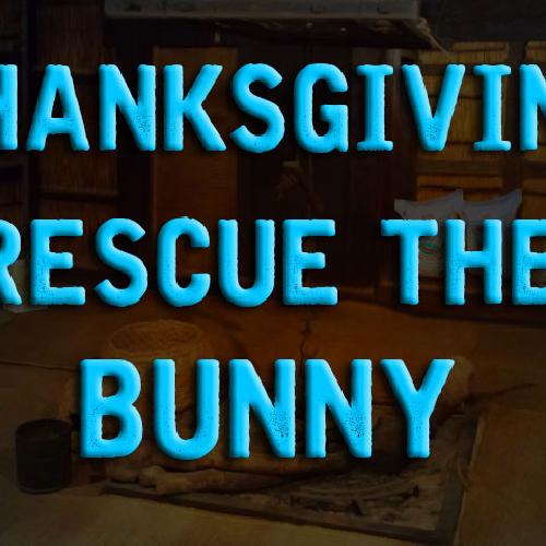 Thanksgiving Rescue The Bunny