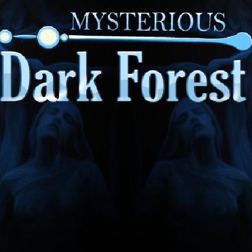 Mysterious Dark Forest