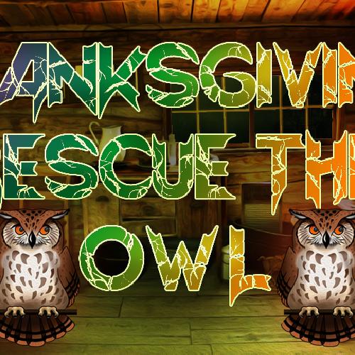 Thanksgiving Rescue The Owl