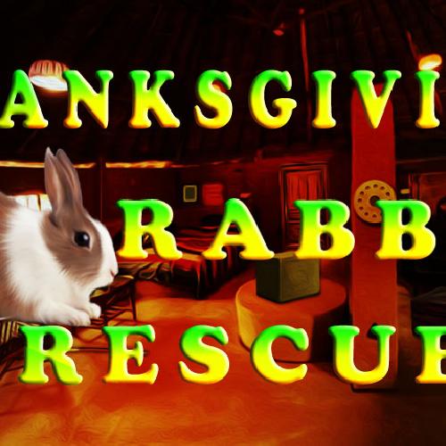 Thanksgiving Rabbit Rescue