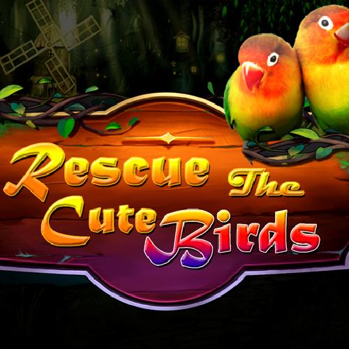 Rescue the bird